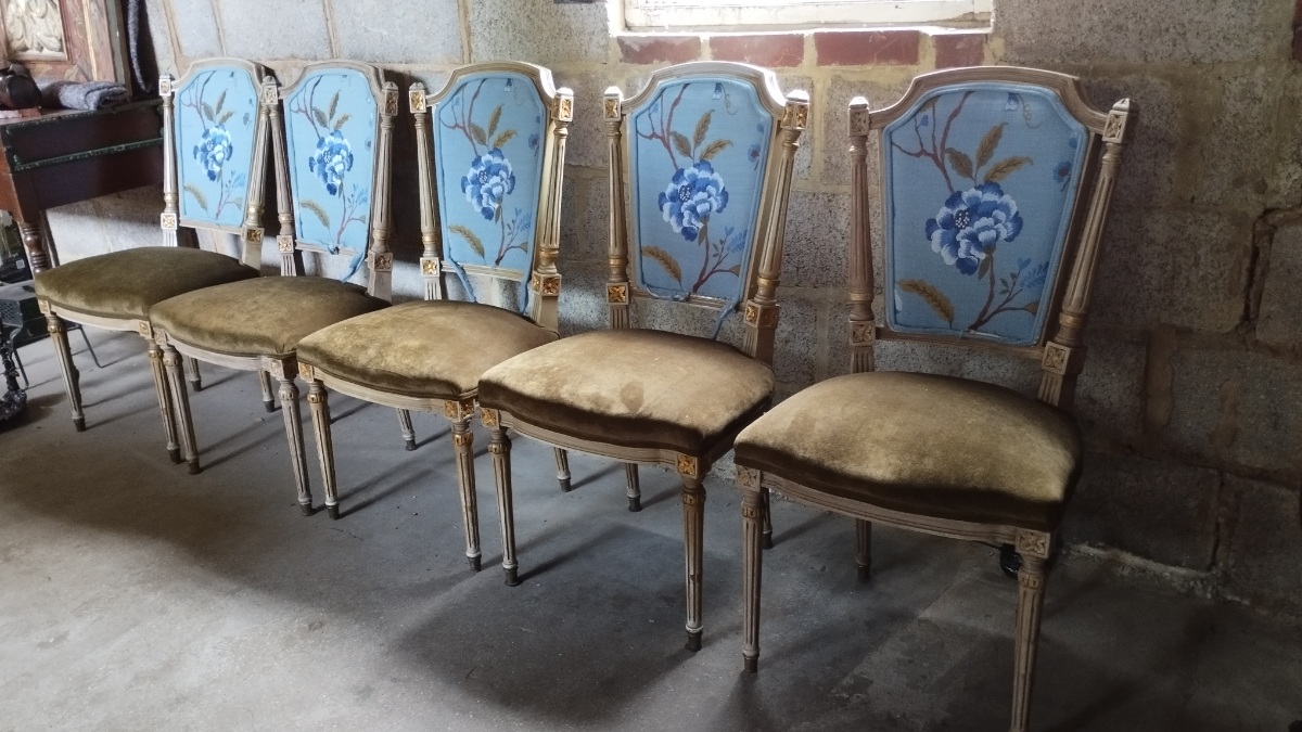Louis XVI Style Group of Five chairs (1).jpg